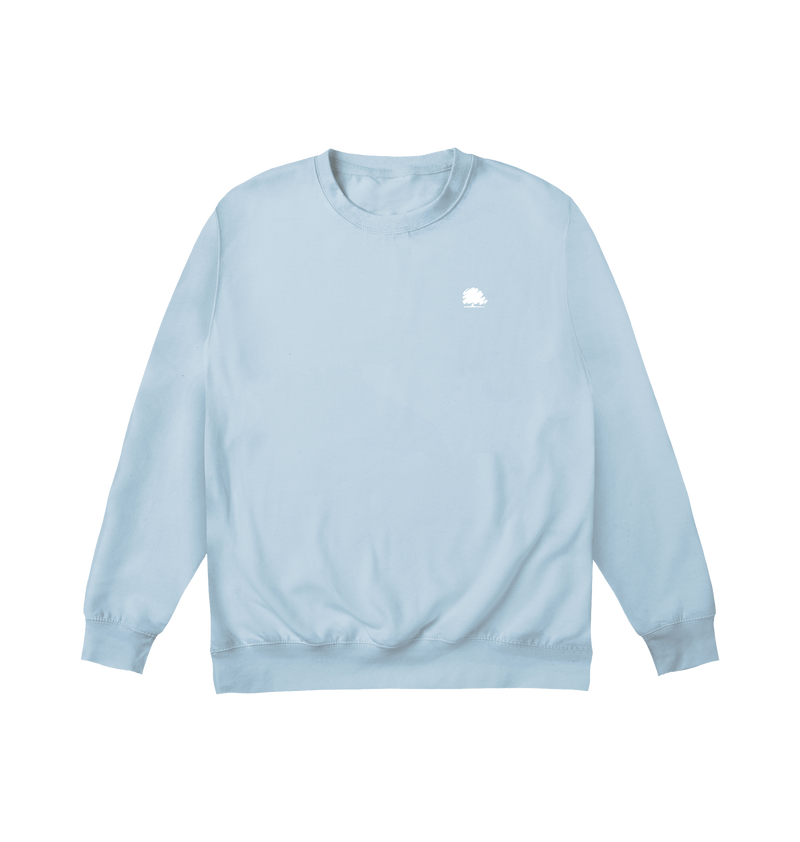 Sky Blue Printed Sweater Front