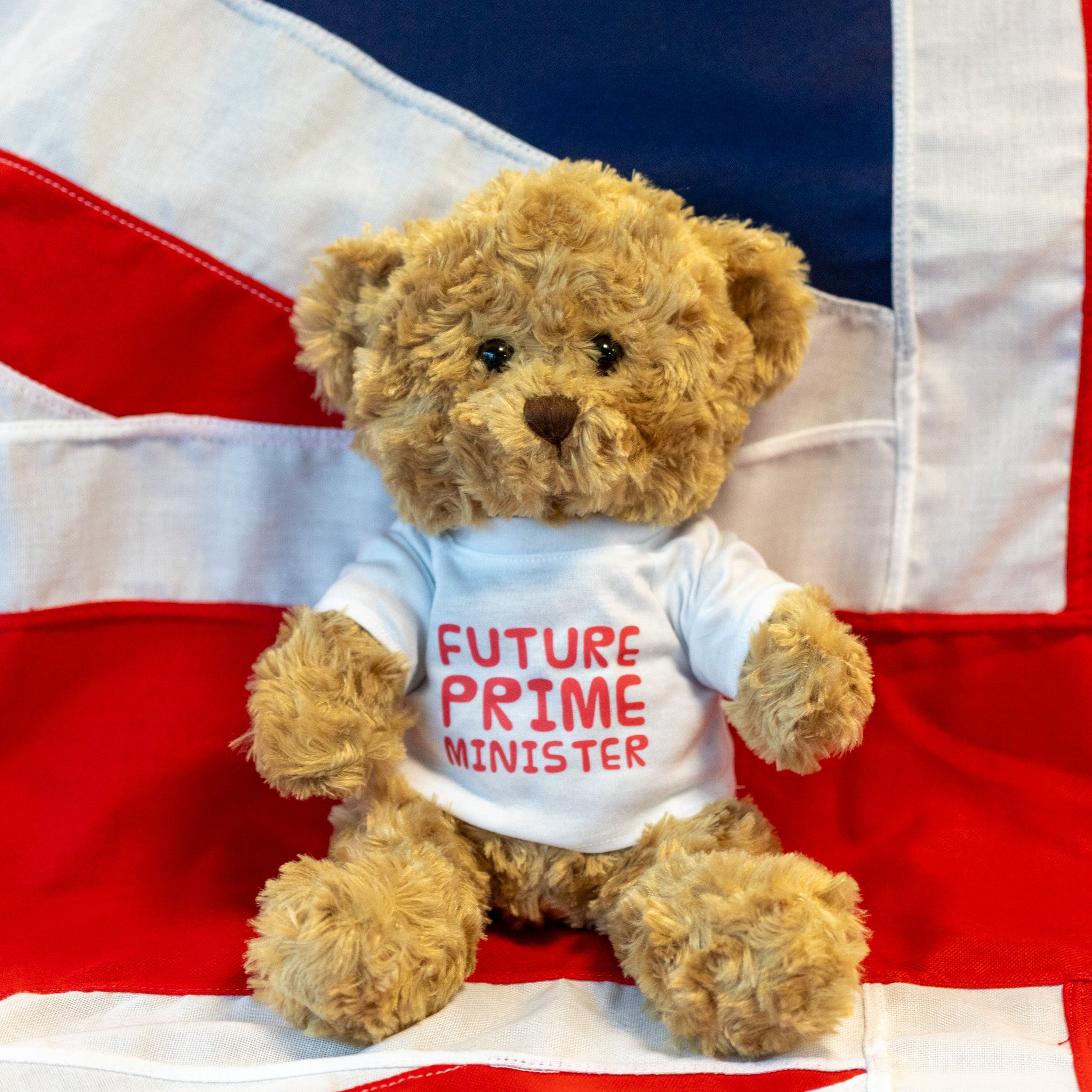 Future Prime Minister Teddy (Pink)